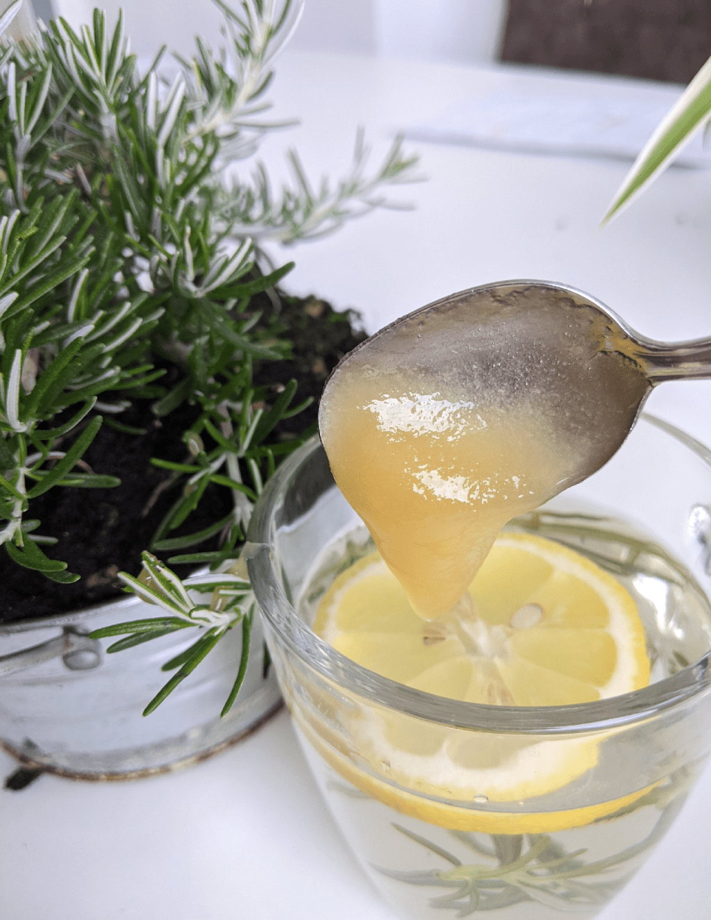 Healthy drink to make at home | How to stay healthy and focused with&nbsp;rosemary